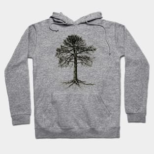 Tree Hoodie